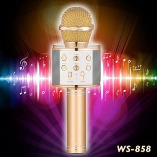 GÖRÜNTÜ & SES SİSTEMİ Paleon Wster Ws-858 Karaoke Mikrofon